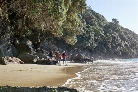 bay of plenty travel guide|Bay of Plenty Scenic highlights .